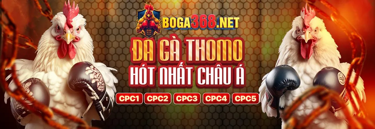 Ứng dụng acb888 trang chủ chính thức trên điện thoại